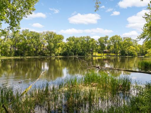 Peaceful lake side setting with year round wildlife