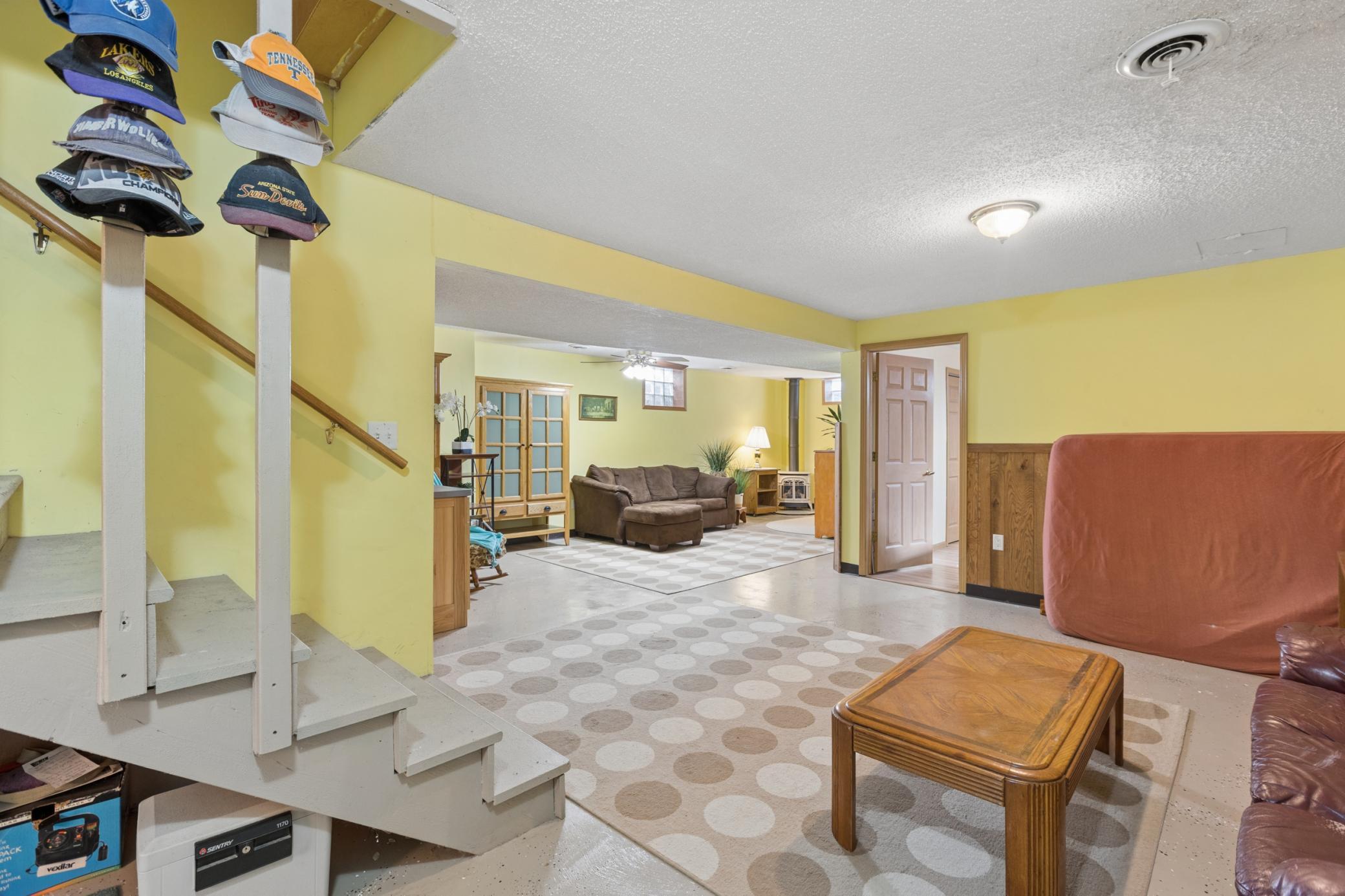 Large Family Room- Lower Level.jpg
