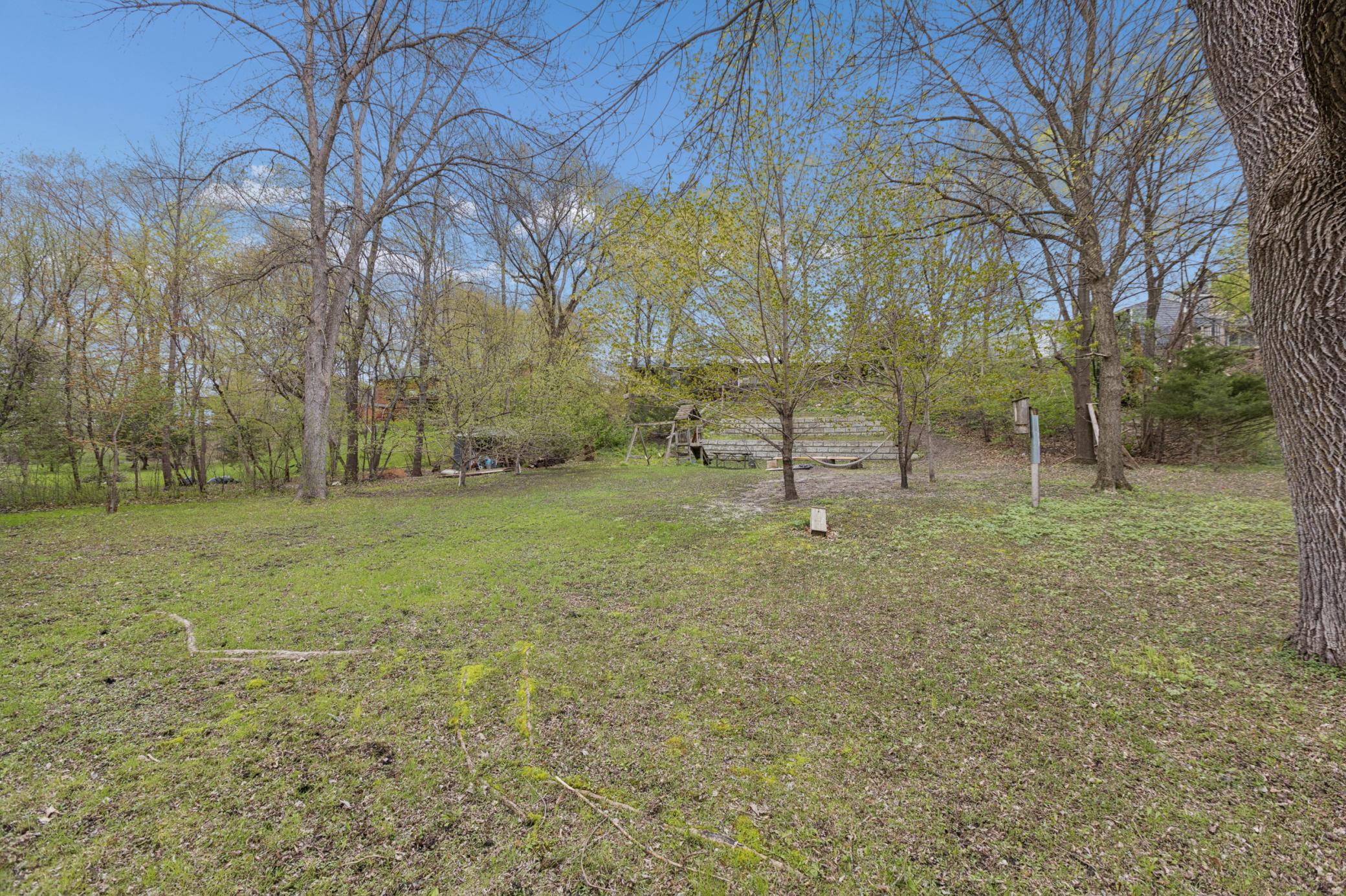 Back Yard.jpg