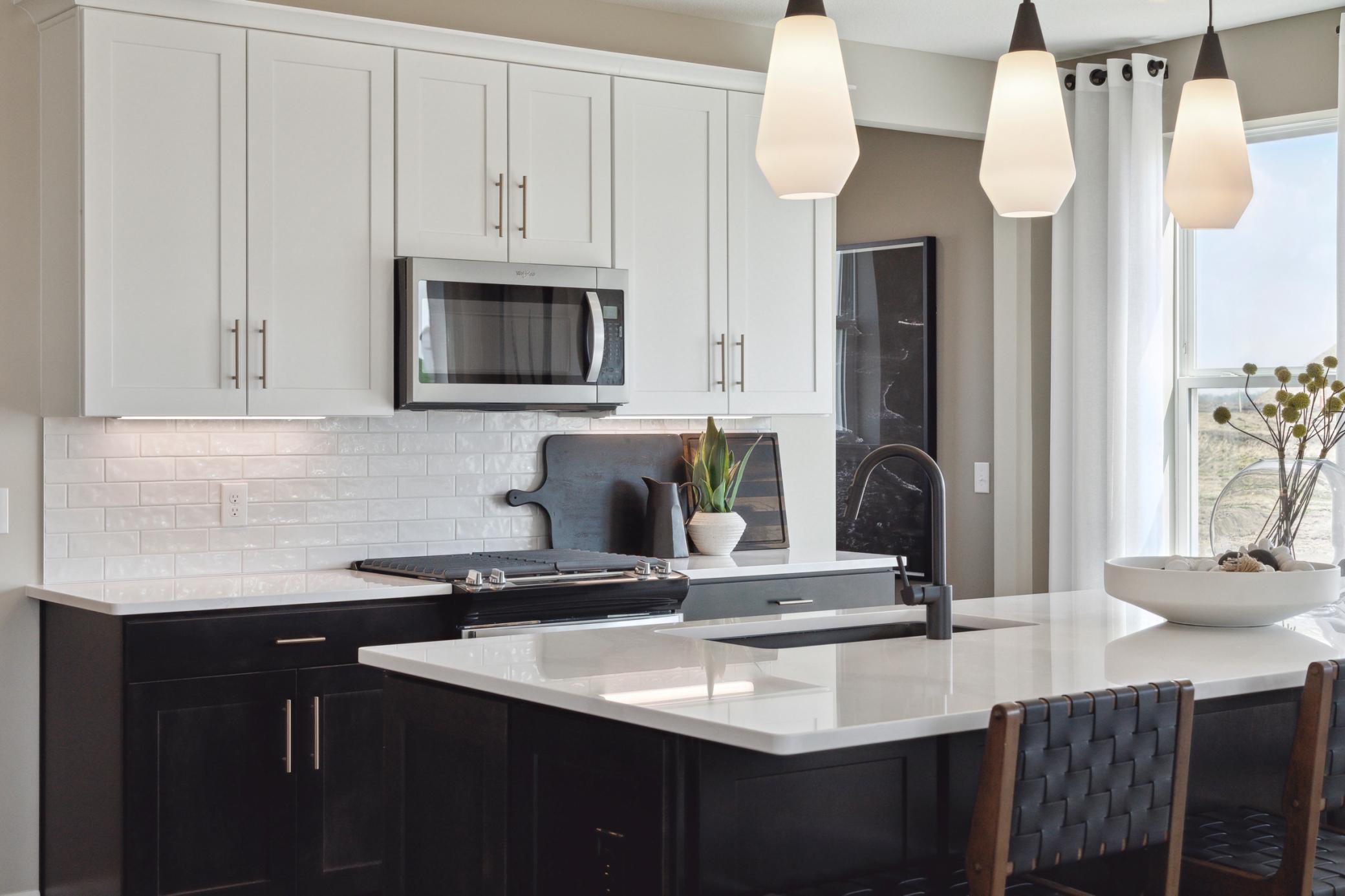 Expressions Collection - 1546 149th Street Rosemount, MN 55068_012.jpg