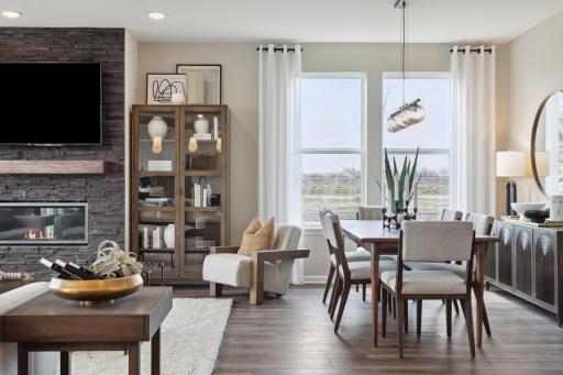 Expressions Collection - 1546 149th Street Rosemount, MN 55068_006.jpg
