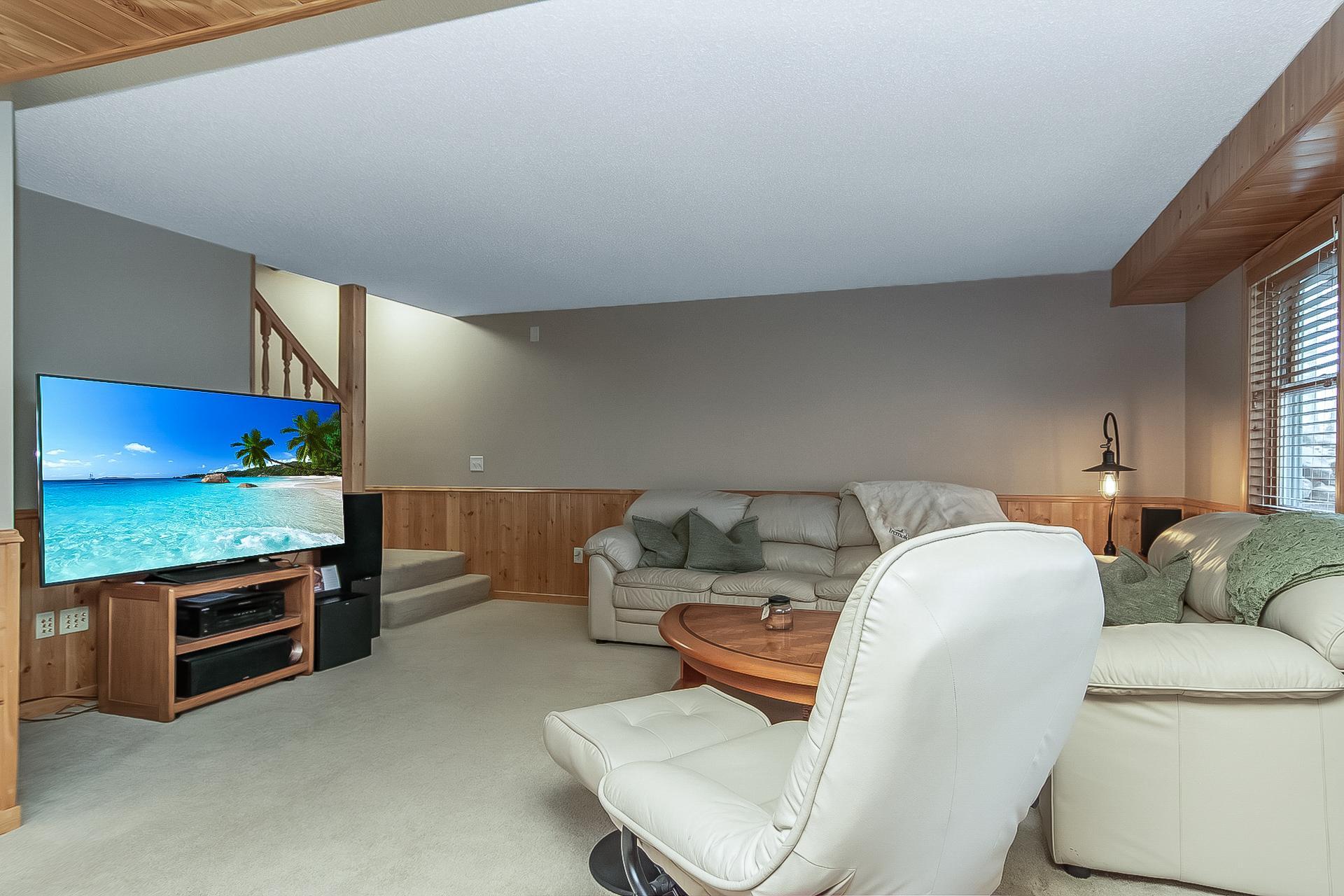 Lower level Family room