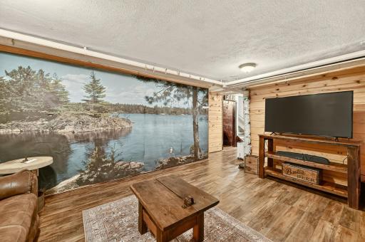 Theater room view 2- Knotty pine behind mural
