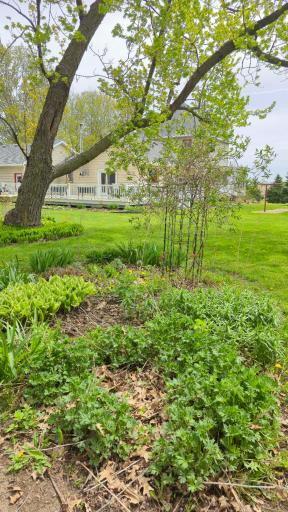 6321 County 11 Boulevard, Kenyon, MN 55946