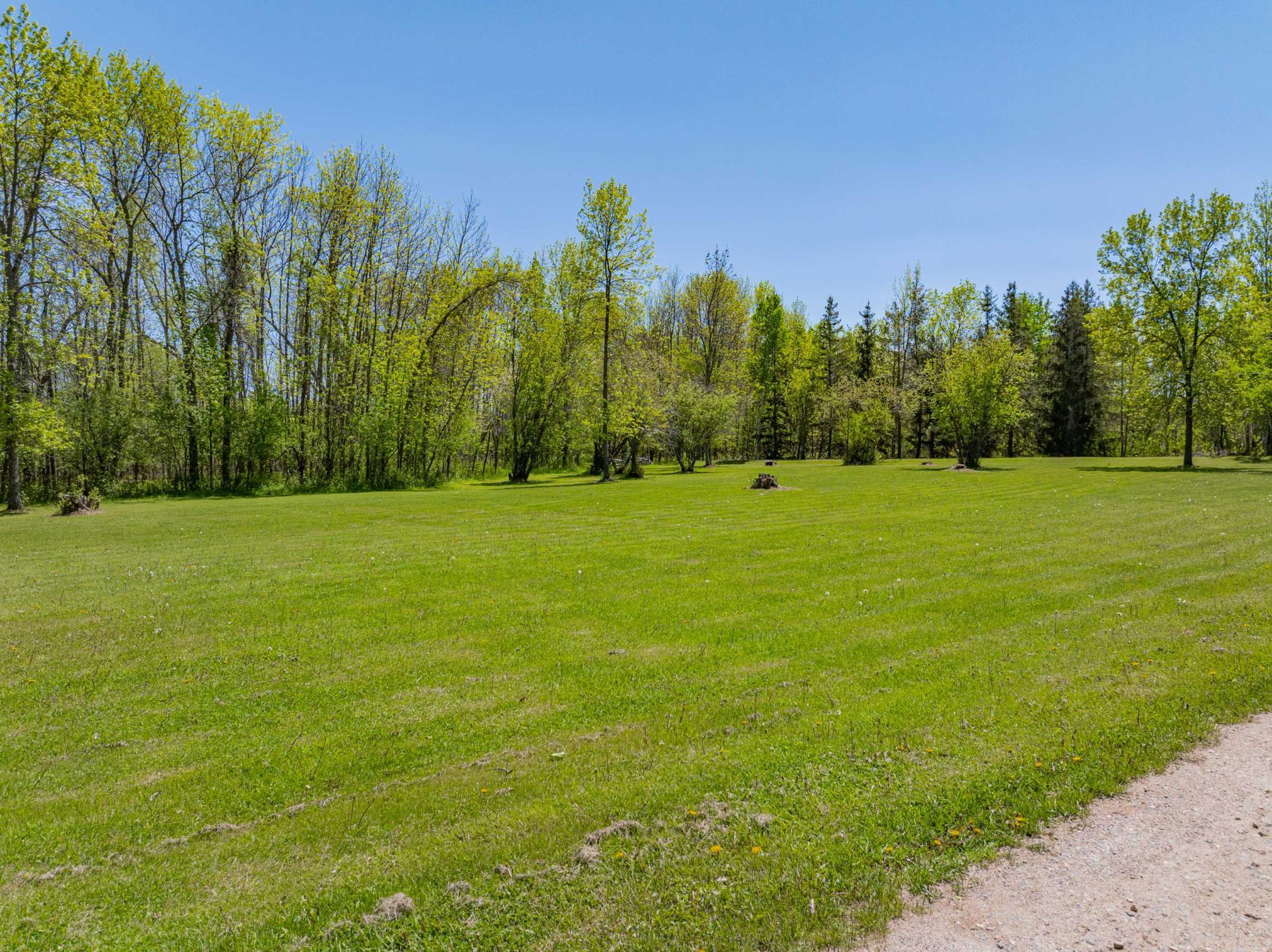 The expansive yard