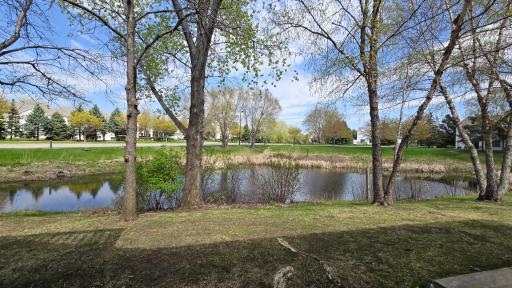 15336 Flower Way, 194, Apple Valley, MN 55124