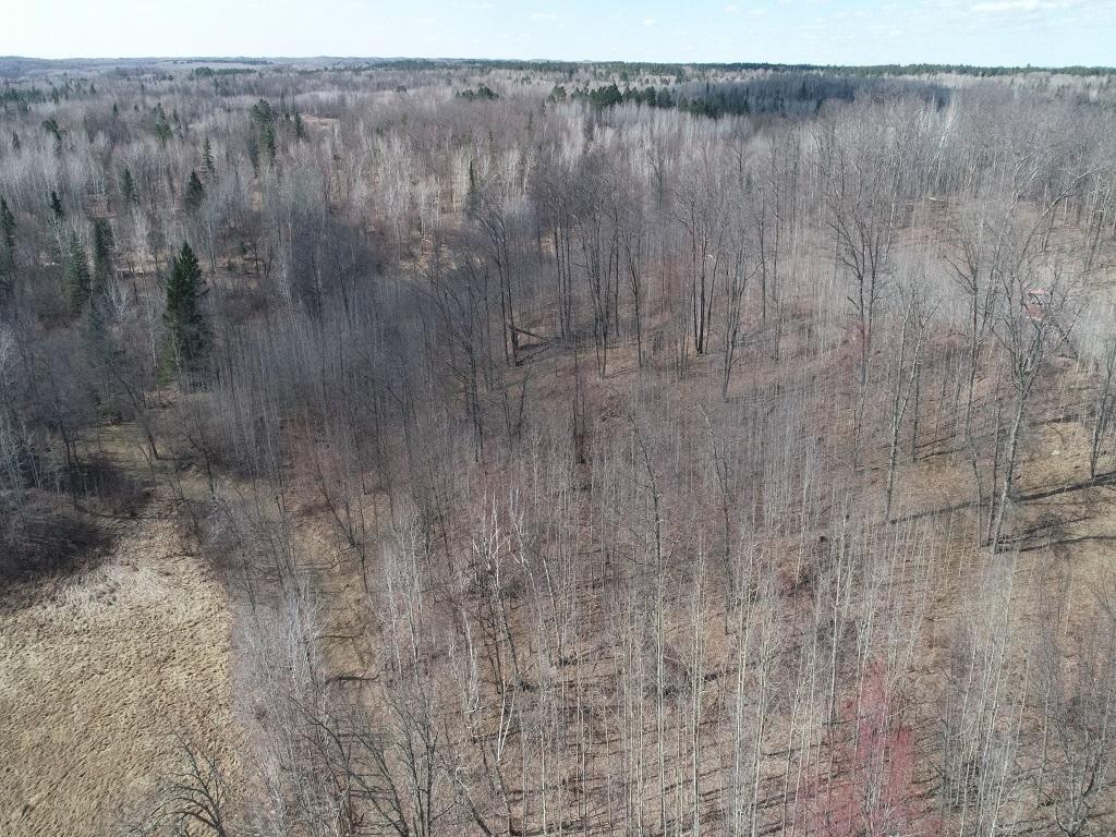 DJI_0006.JPG