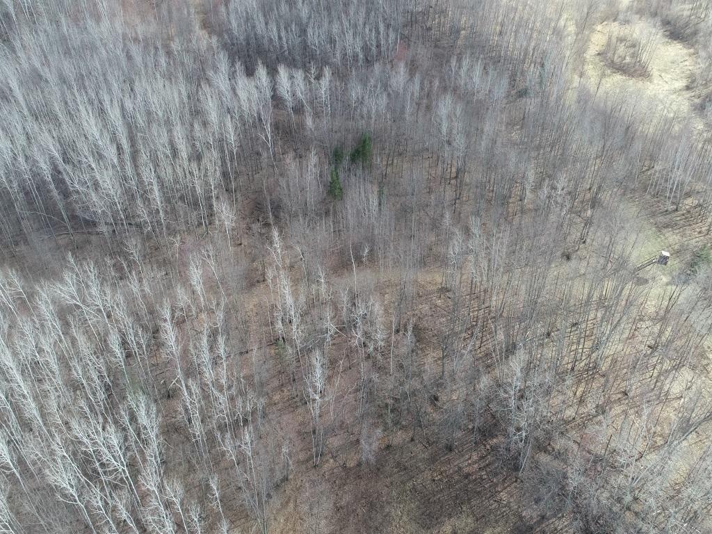 DJI_0014.JPG