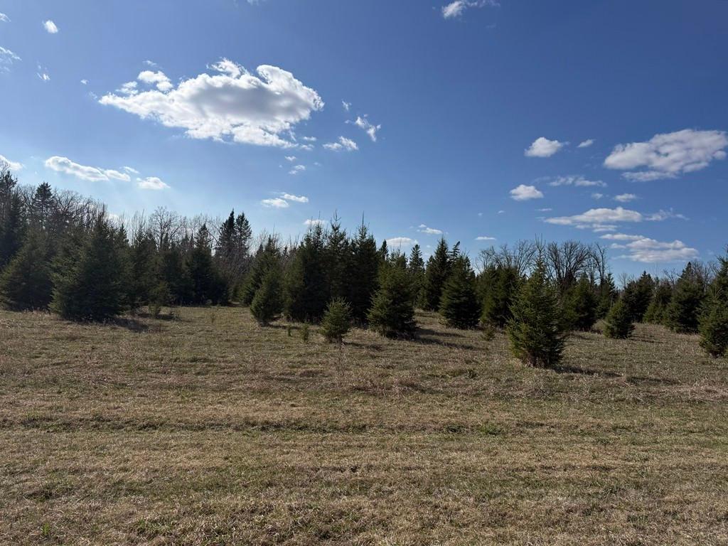 55000 Kueber Road - 80 acres