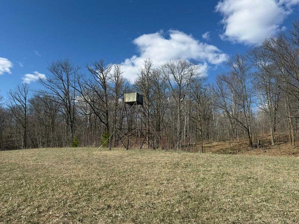 There are four permanent deer stands already in place.