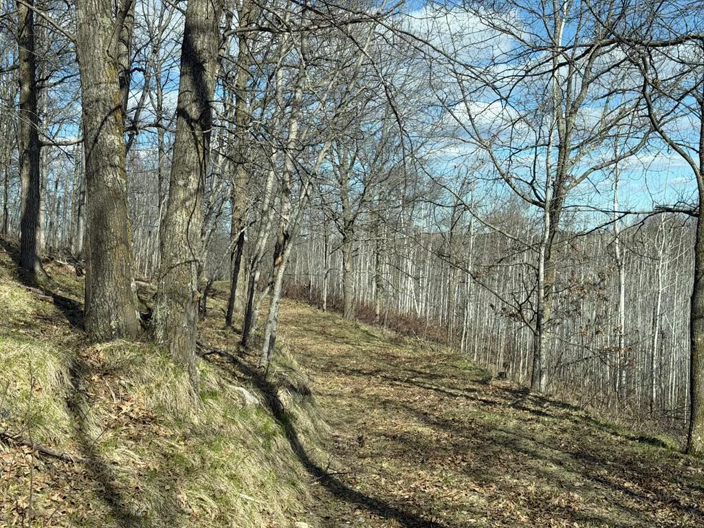 Mowed trails throughout.