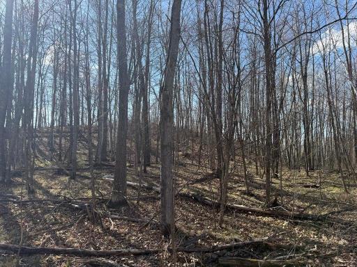 55000 Kueber Road, Park Rapids, MN 56470