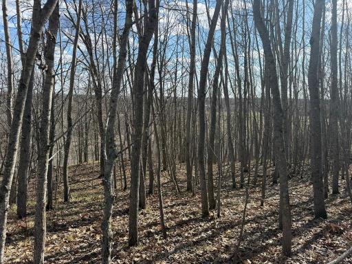 55000 Kueber Road, Park Rapids, MN 56470