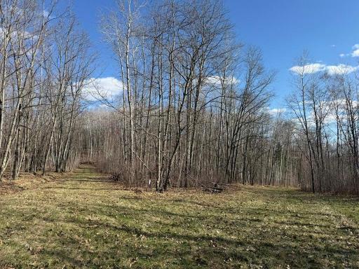 55000 Kueber Road, Park Rapids, MN 56470