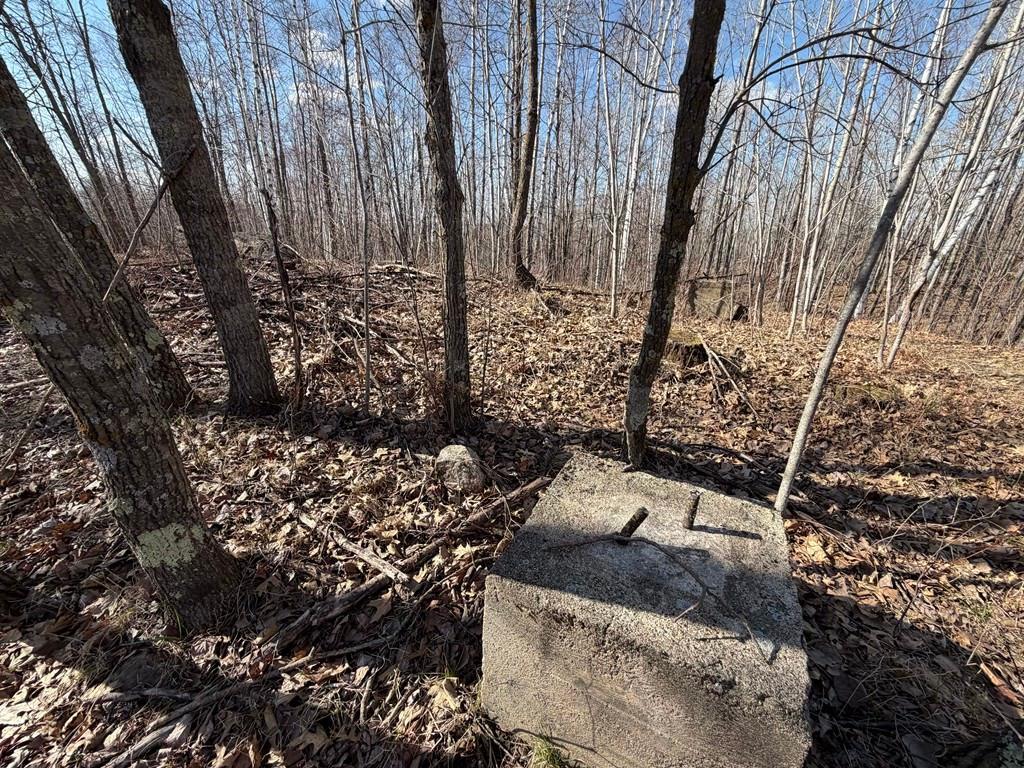 Highest area. This was the base for a fire tower at one time.