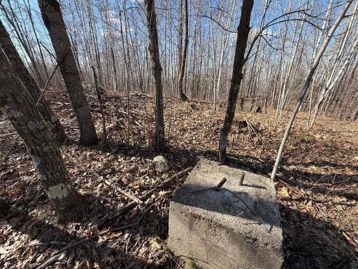 Highest area. This was the base for a fire tower at one time.