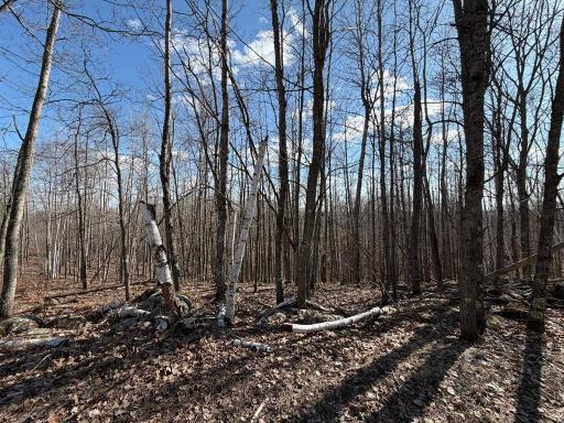 55000 Kueber Road, Park Rapids, MN 56470