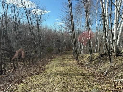 55000 Kueber Road, Park Rapids, MN 56470