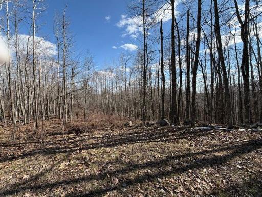 55000 Kueber Road, Park Rapids, MN 56470