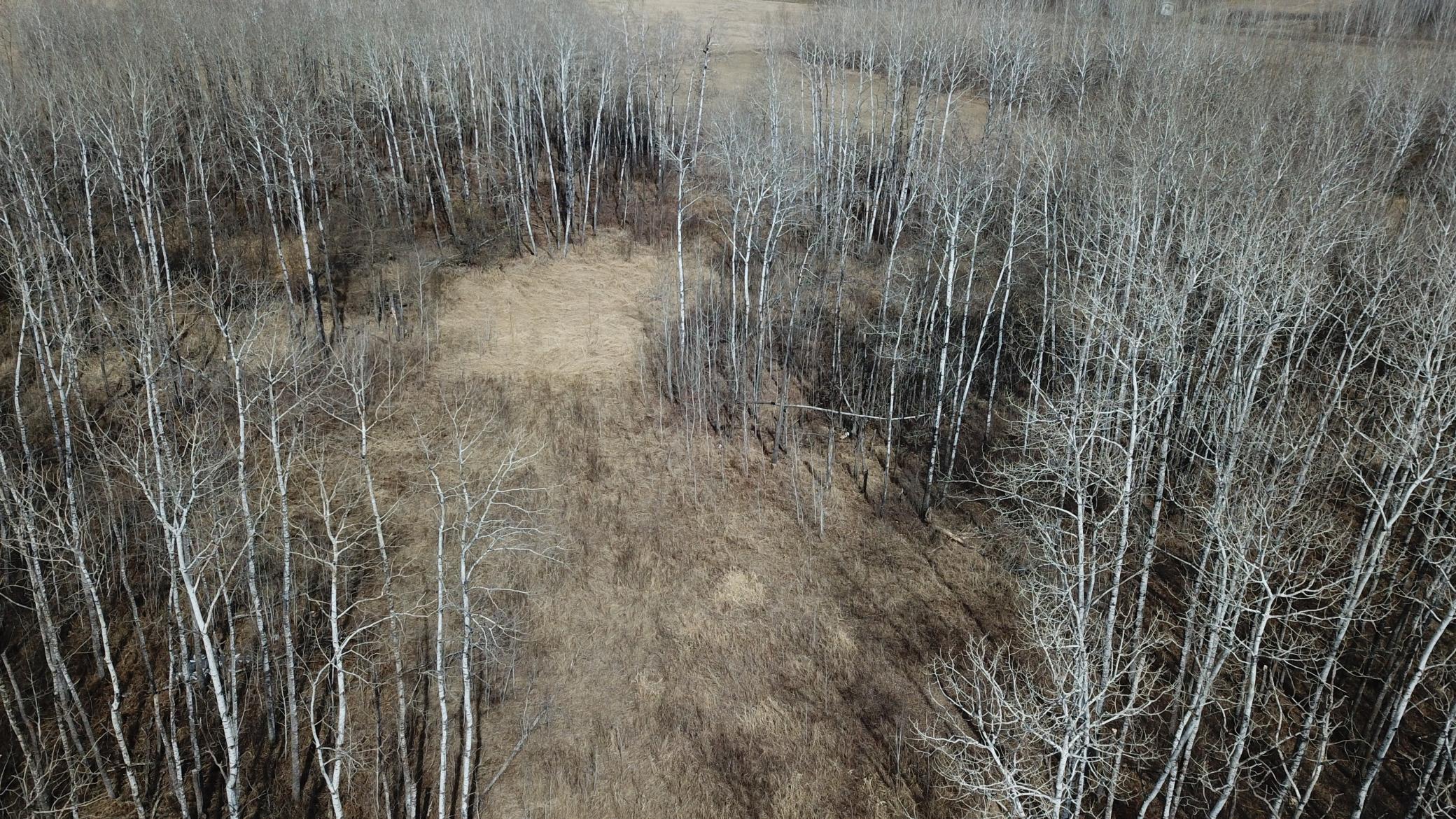 dji_fly_20260430_154717_0033_1777651368263_photo.jpeg