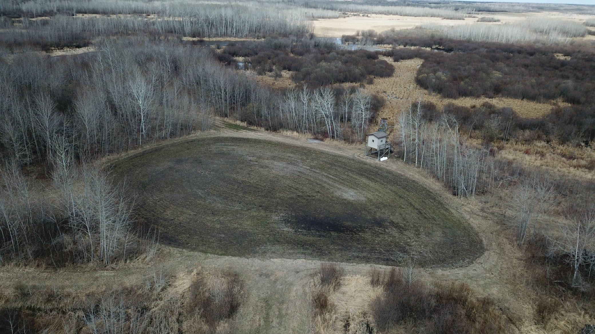dji_fly_20260430_155240_0047_1777651370129_photo.jpeg
