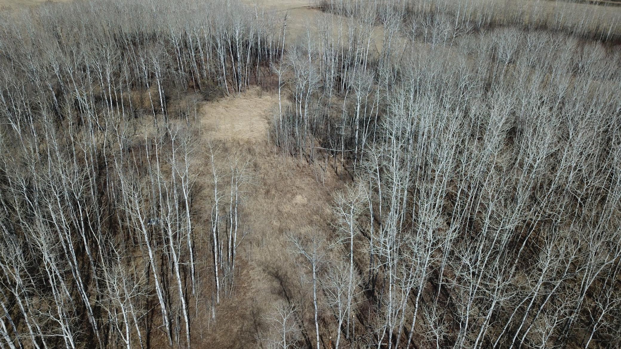 dji_fly_20260430_154735_0035_1777651368700_photo.jpeg