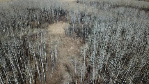 dji_fly_20260430_154735_0035_1777651368700_photo.jpeg