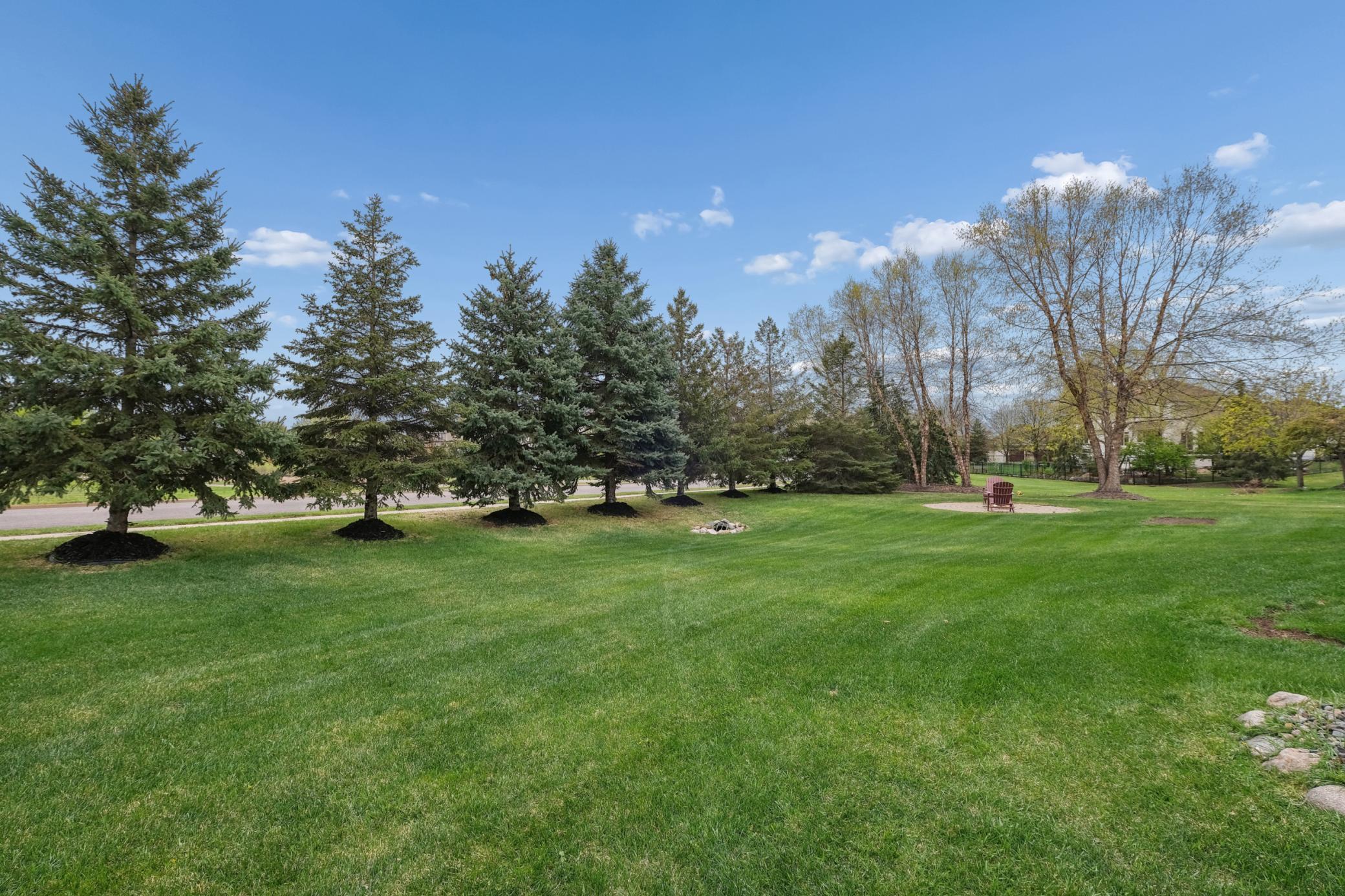 Backyard space