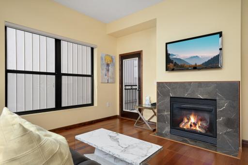 Gas fireplace