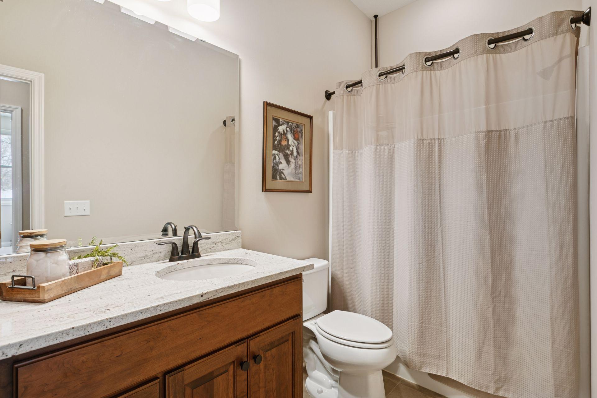 Lower level bathroom
