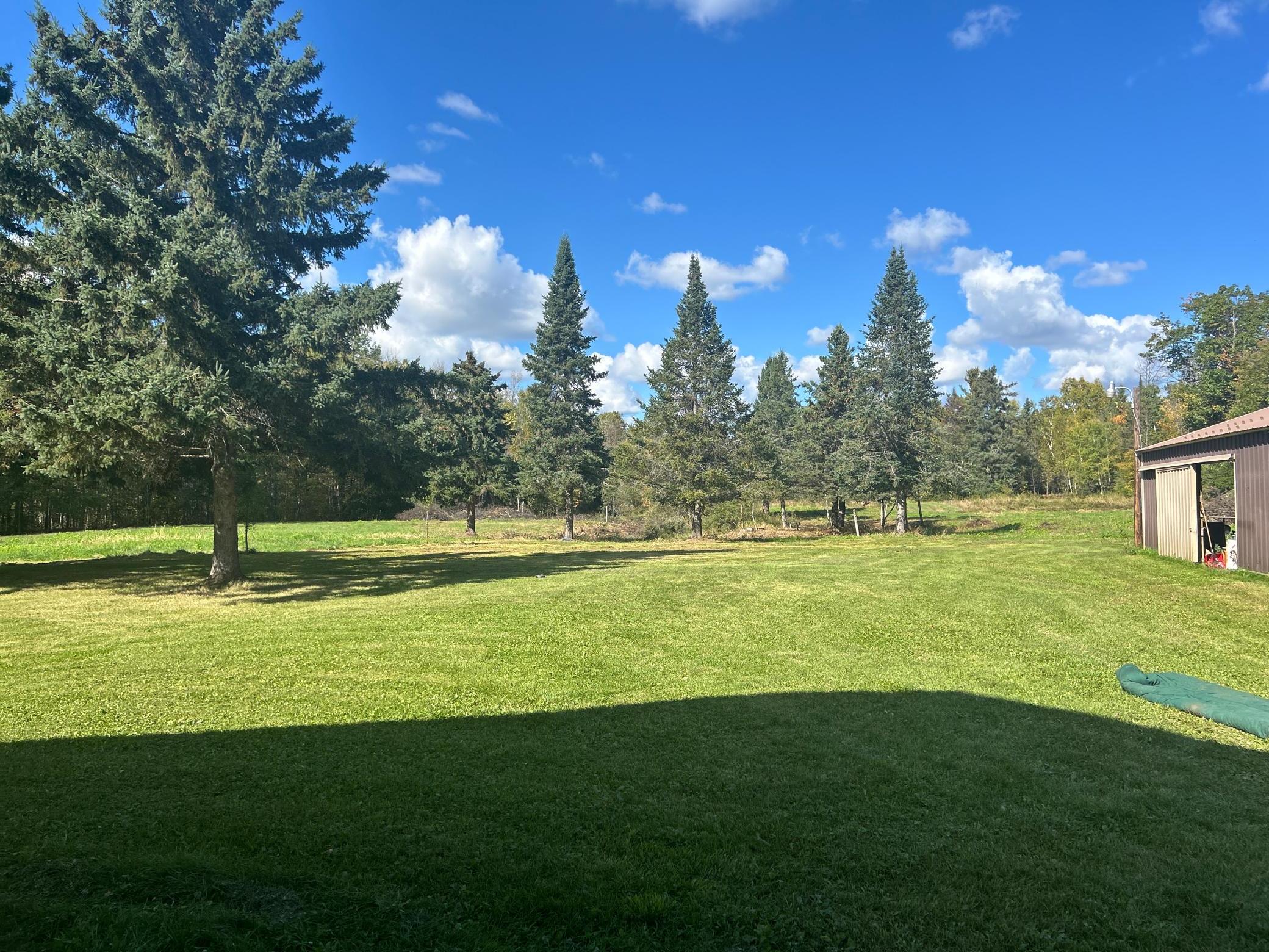 Back yard