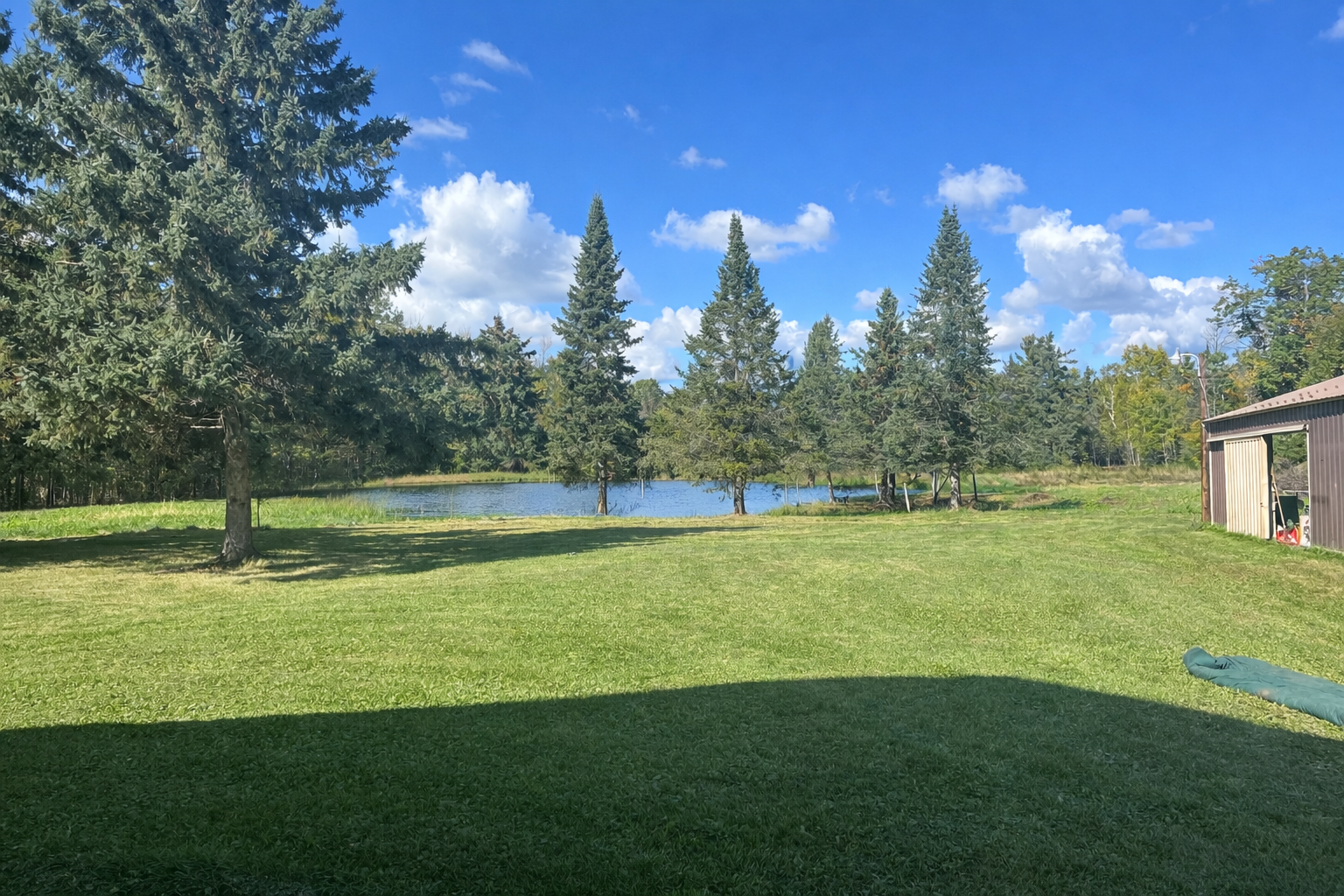 View of pond from house