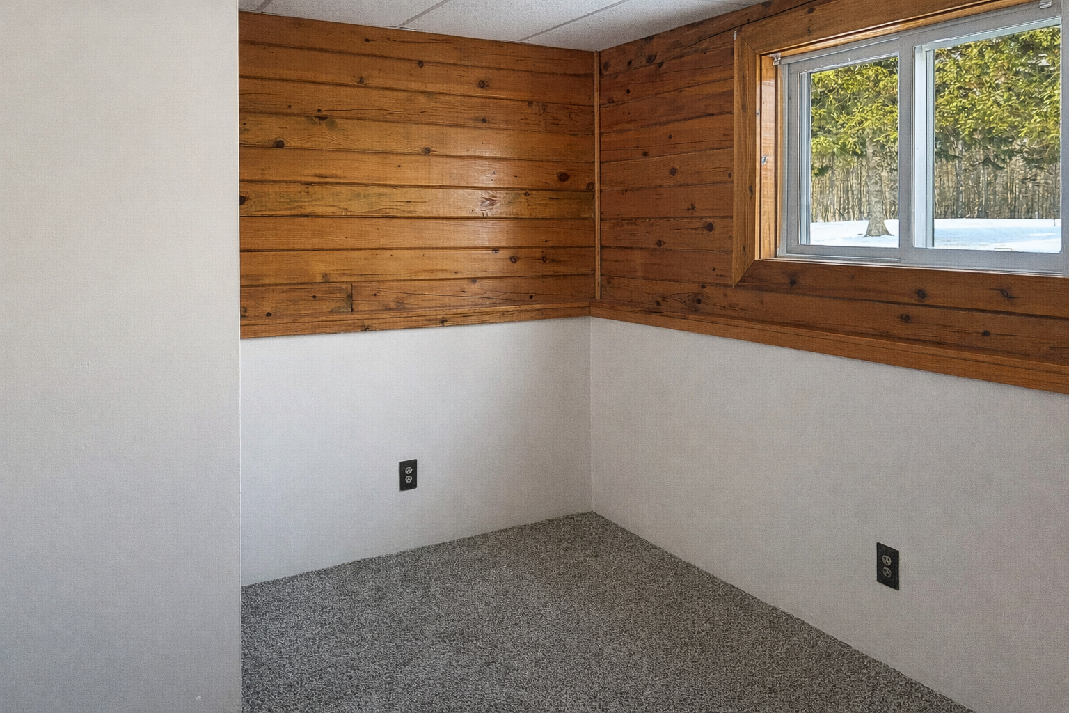 Lower level bedroom 1