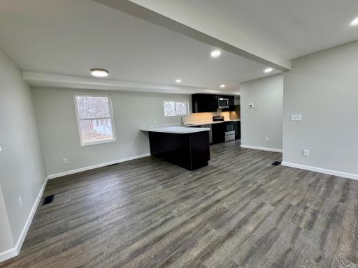 Kitchen/Living/Dining