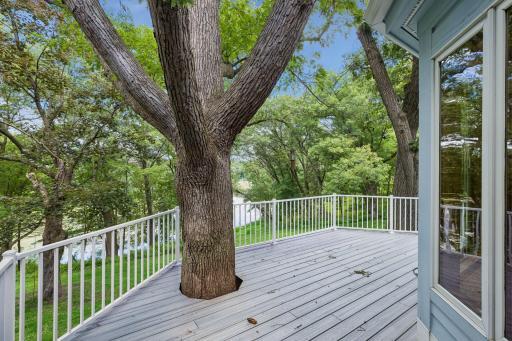 7 Mallard Lane, Saint Paul, MN 55127