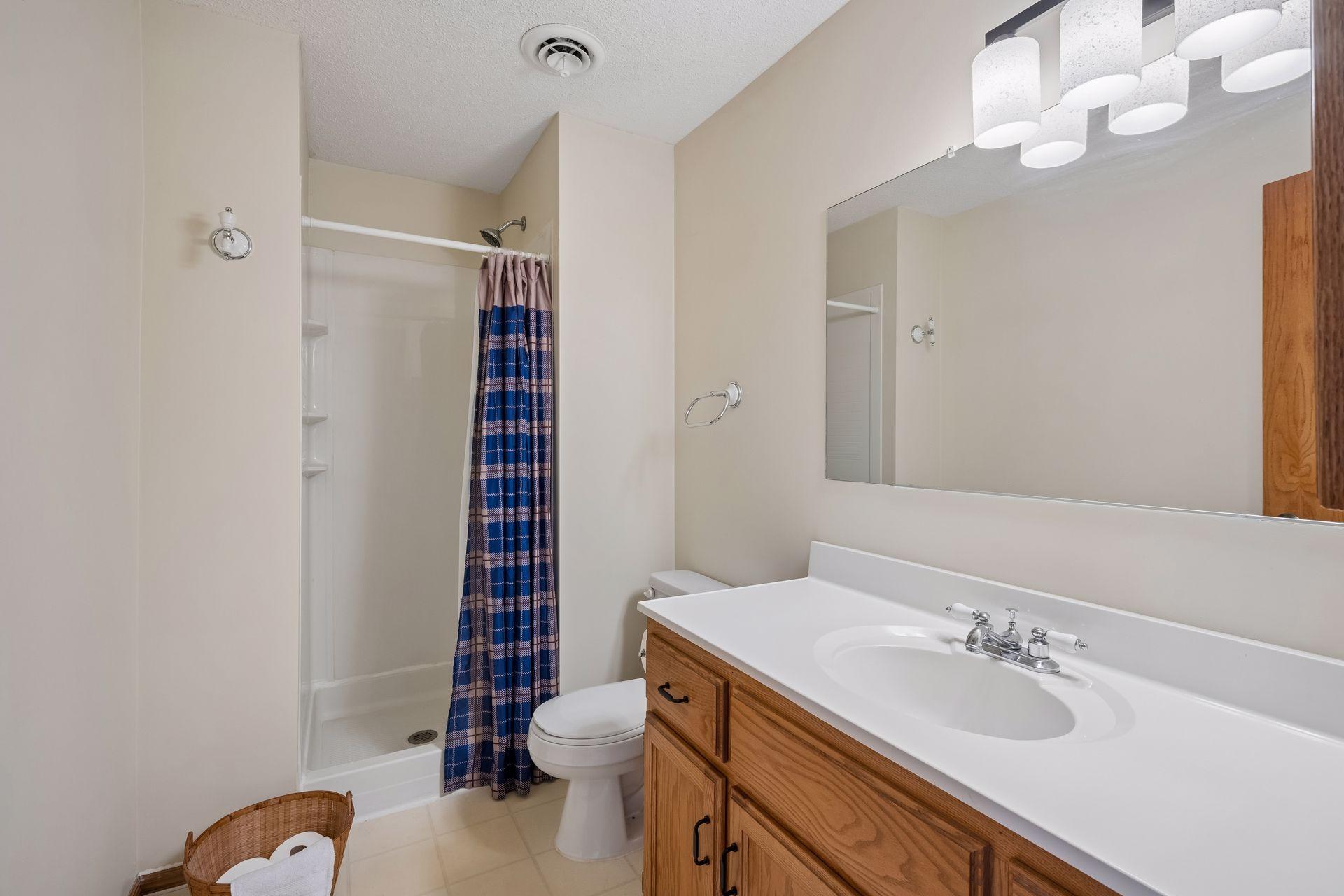 Lower level bathroom