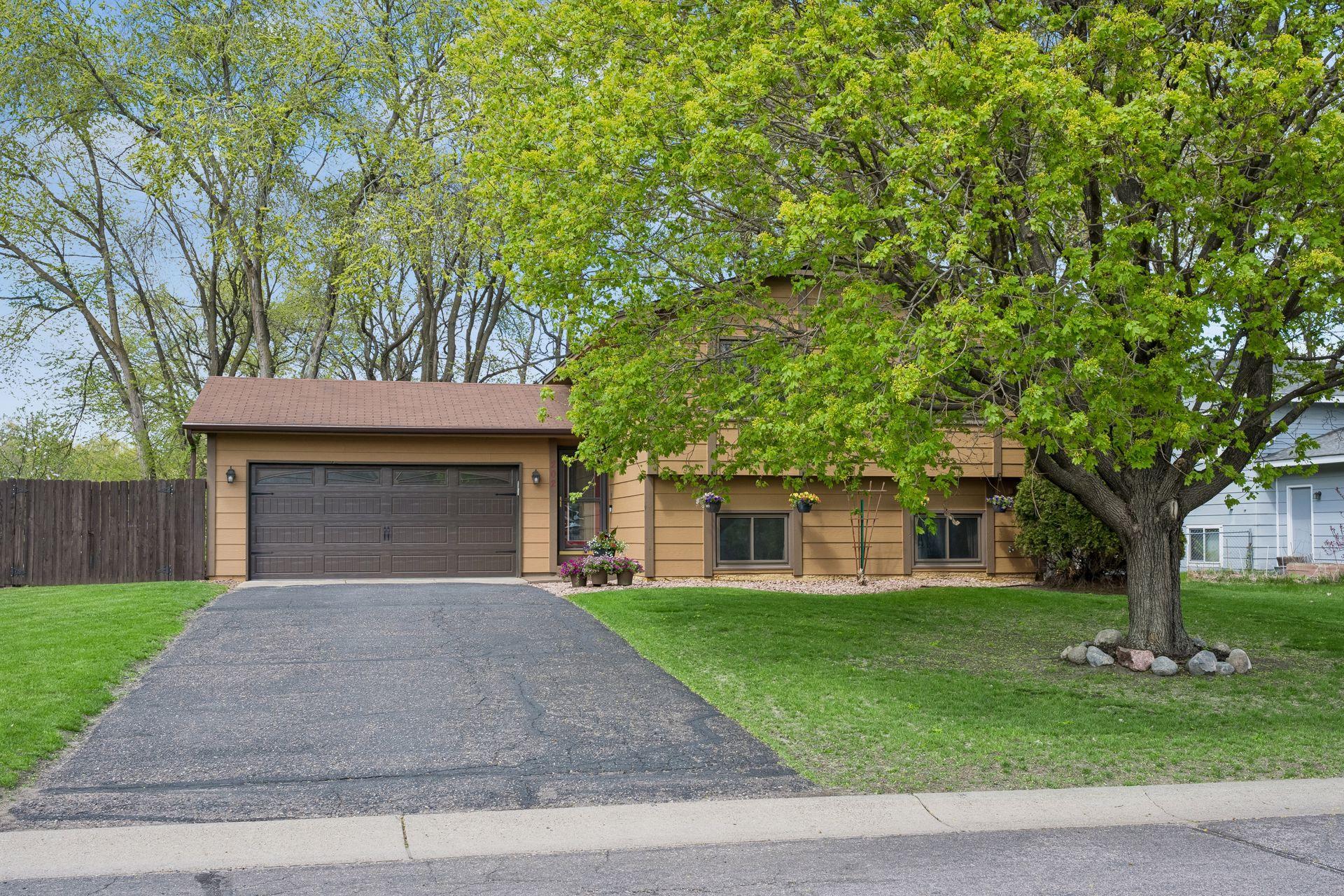 Spacious front yard with an absolutely beautiful maple tree