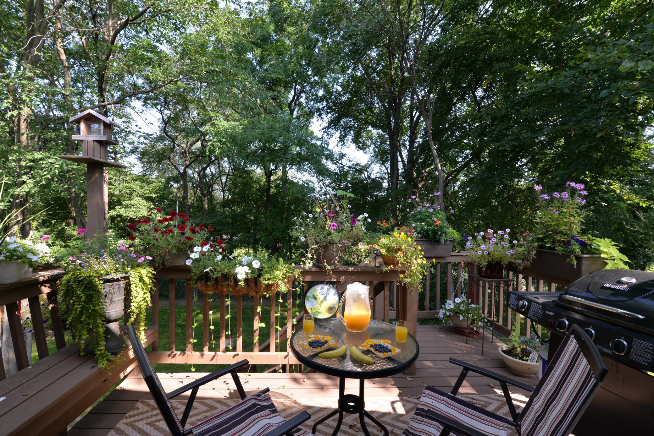 Deck with plenty of sun to grow annuals