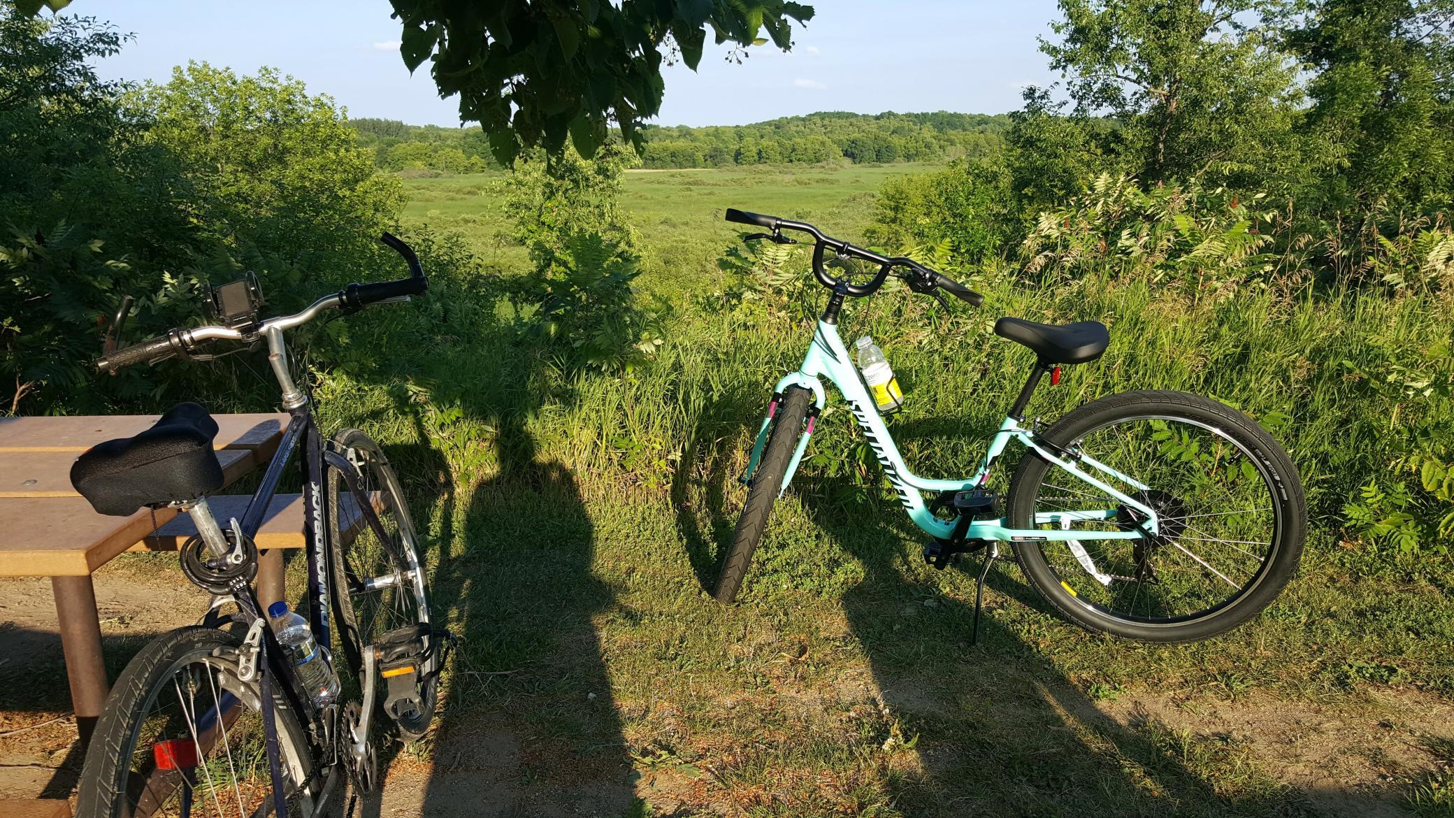 The park is a premier cycling destination, featuring roughly 20 miles of paved trails that wind through scenic woodlands, wetlands, and old farm fields connecting to regional routes in Champlin, Dayton, and Maple Grove.