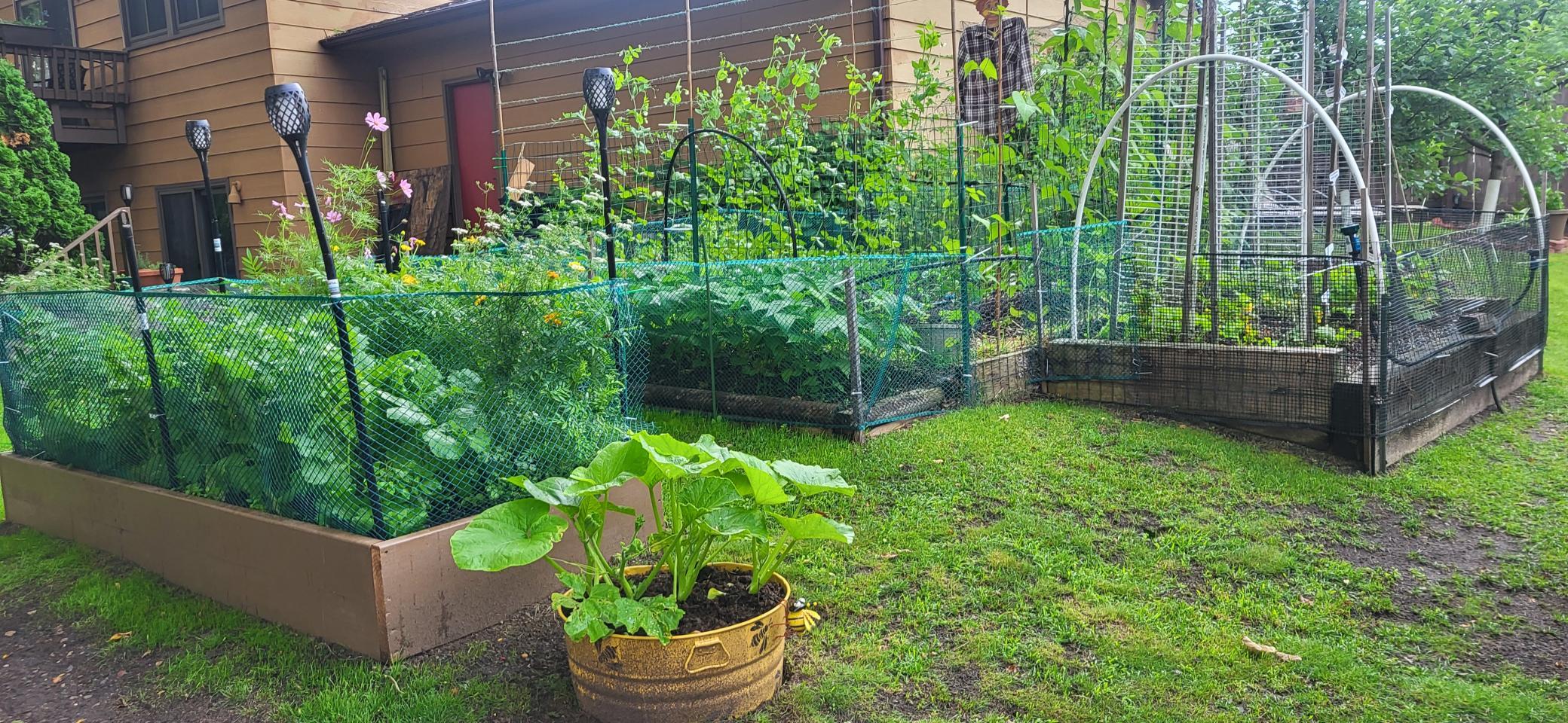 Great yard for growing a garden