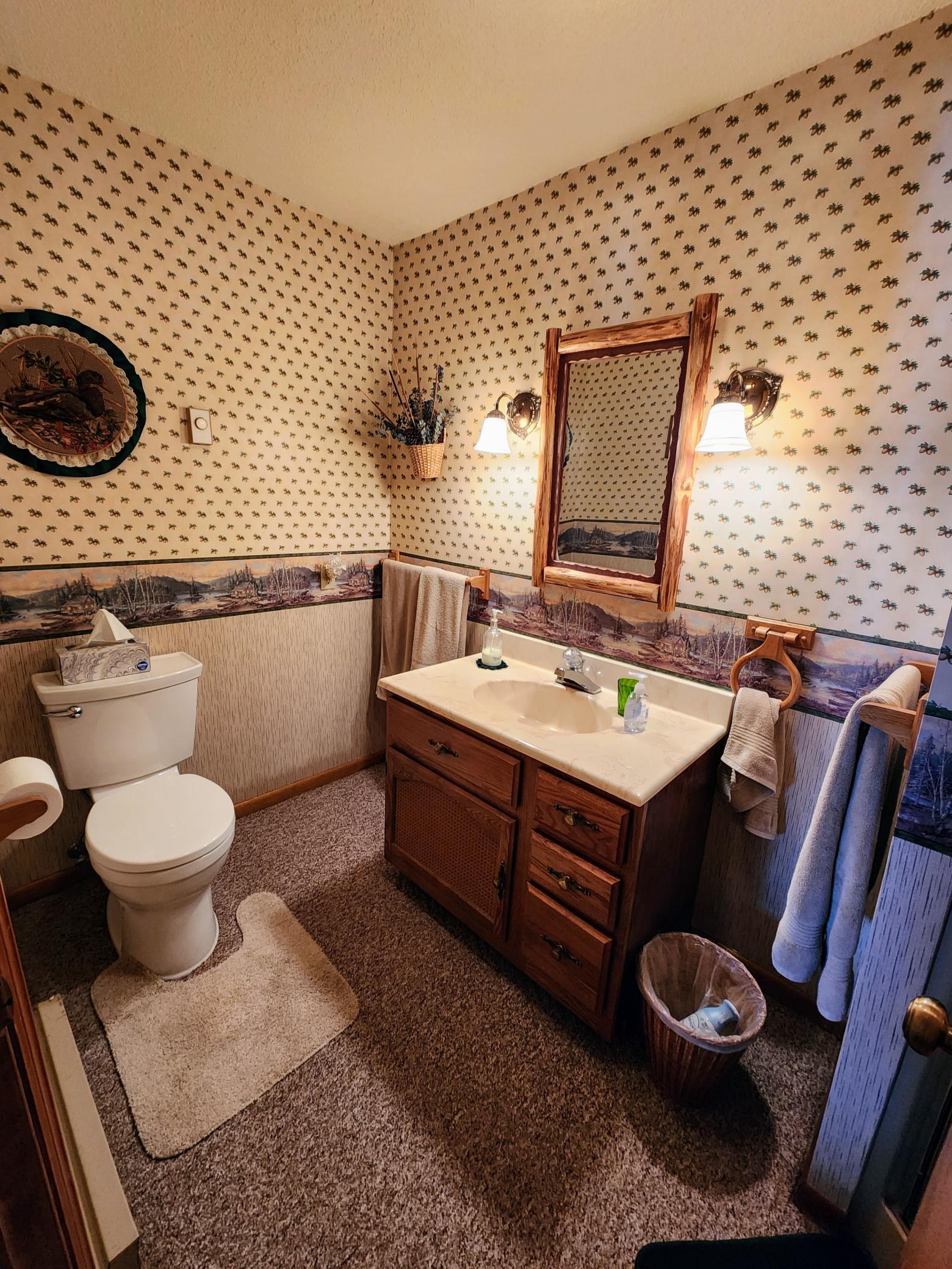 Lower Level Bathroom2.jpg