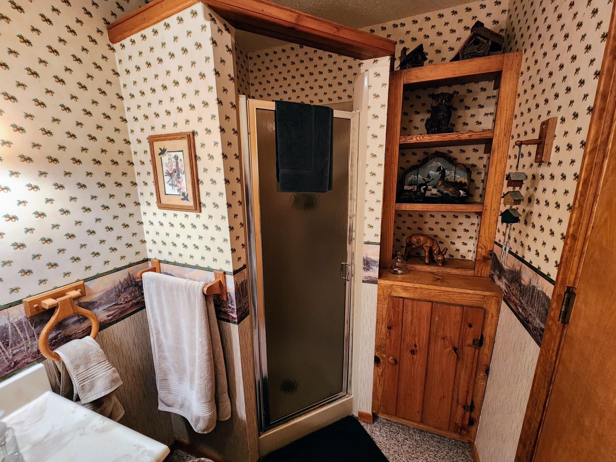 Lower Level Bathroom1.jpg