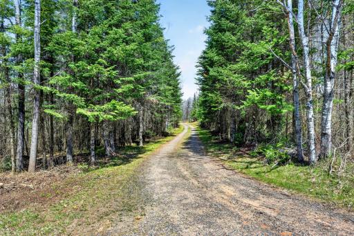 8225 N Blaisdell Lake Road, Winter, WI 54896