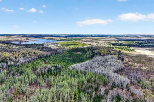 8225 N Blaisdell Lake Road, Winter, WI 54896