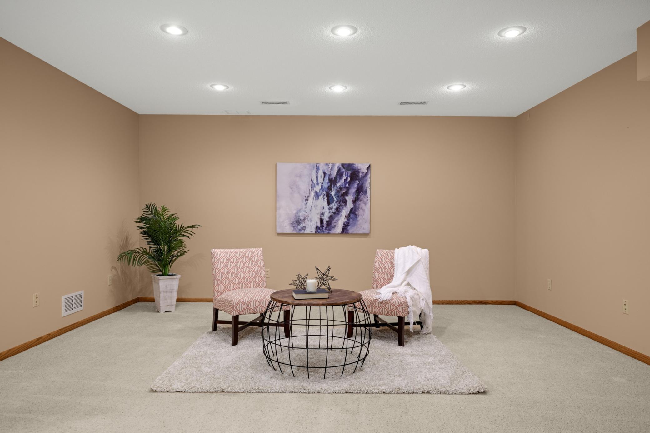 Lower Level bonus room.