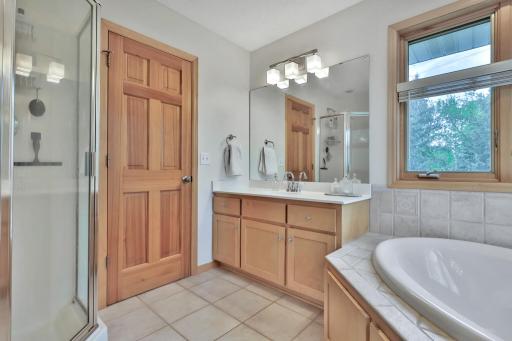 507 Owasso Hills Drive, Saint Paul, MN 55113