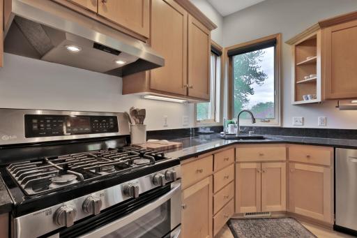 507 Owasso Hills Drive, Saint Paul, MN 55113