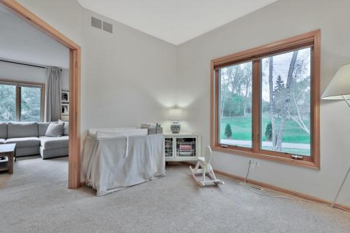 507 Owasso Hills Drive, Saint Paul, MN 55113