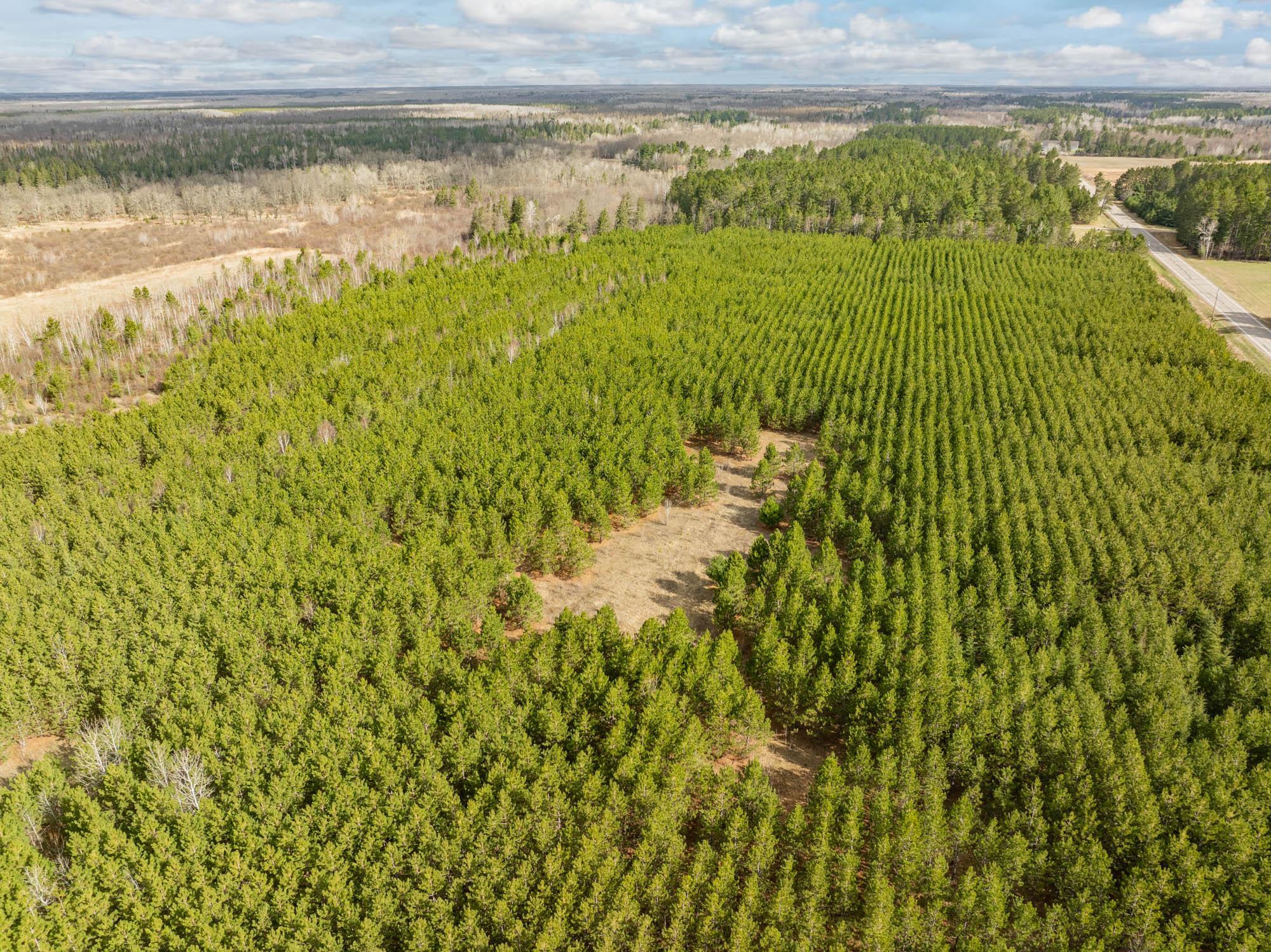 DJI_20260504092230_0453_D-Edit.jpg