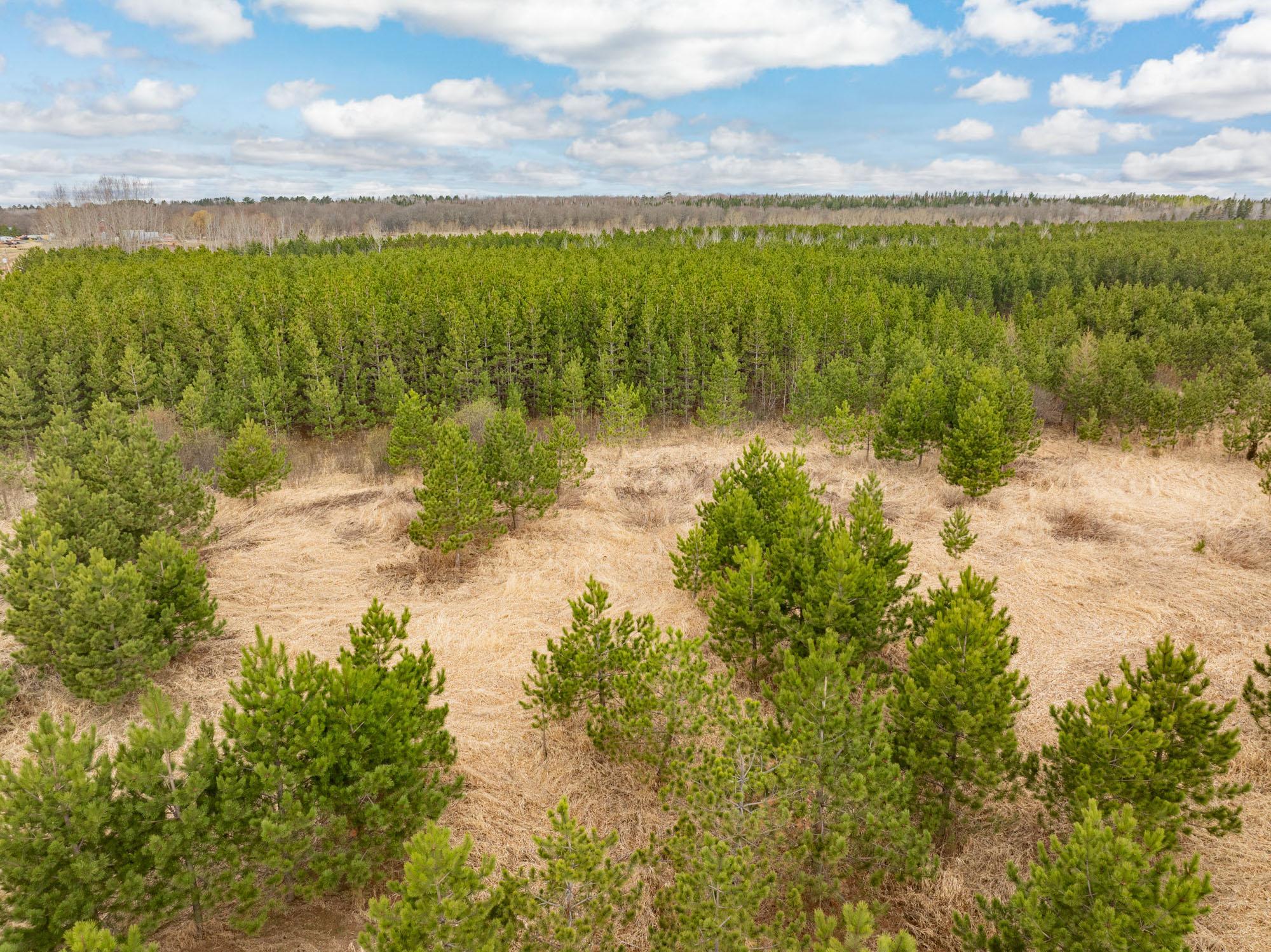 DJI_20260504092445_0464_D-Edit.jpg